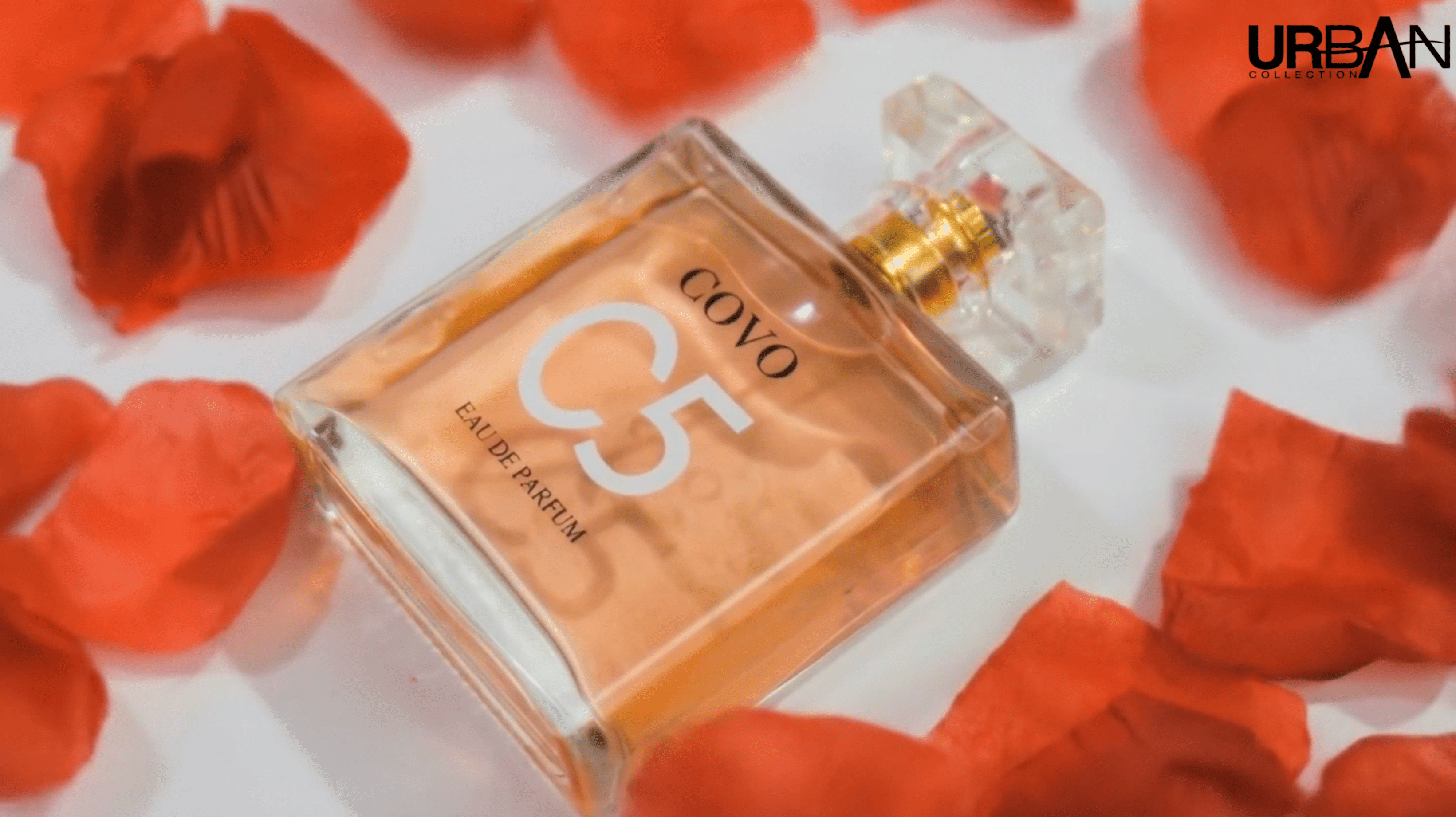Amazon.com : URBAN COLLECTION Covo C5 for Women Eau De Parfum 3.3